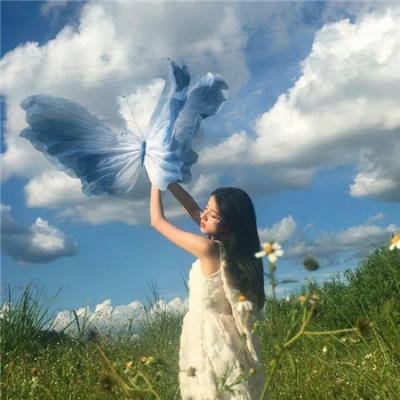阿宝的故事